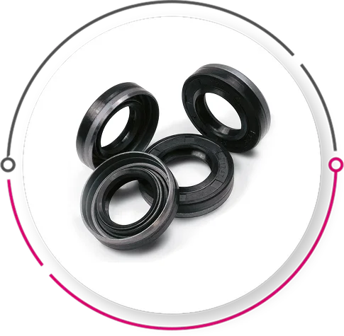 Rotary Shaft Seals